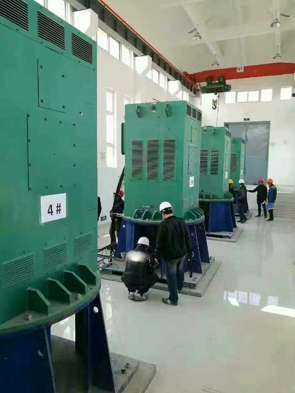 YJTFKK6301-8-900KW某污水处理厂使用我厂的立式高压电机安装现场