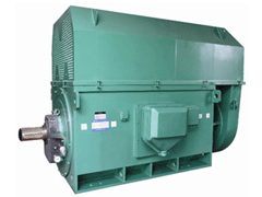 YJTFKK6301-8-900KWYKK系列高压电机