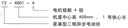 YR系列(H355-1000)高压YJTFKK6301-8-900KW三相异步电机西安西玛电机型号说明